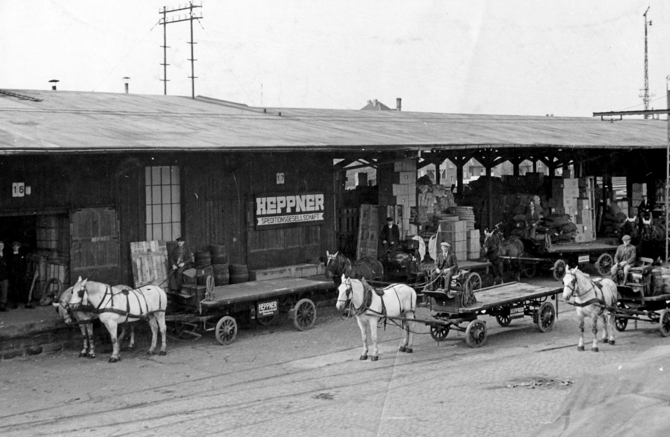chevaux 1